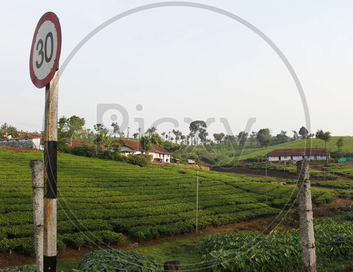 Beautiful view of tea plantations in Idukki Dist in Kerala