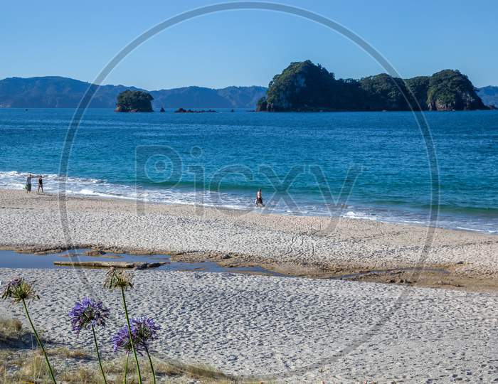 Hahei, New Zealand - February 8 : A Summer Evening At Hahei Beach In New Zealand On February 8, 2012. Four Unidentified People