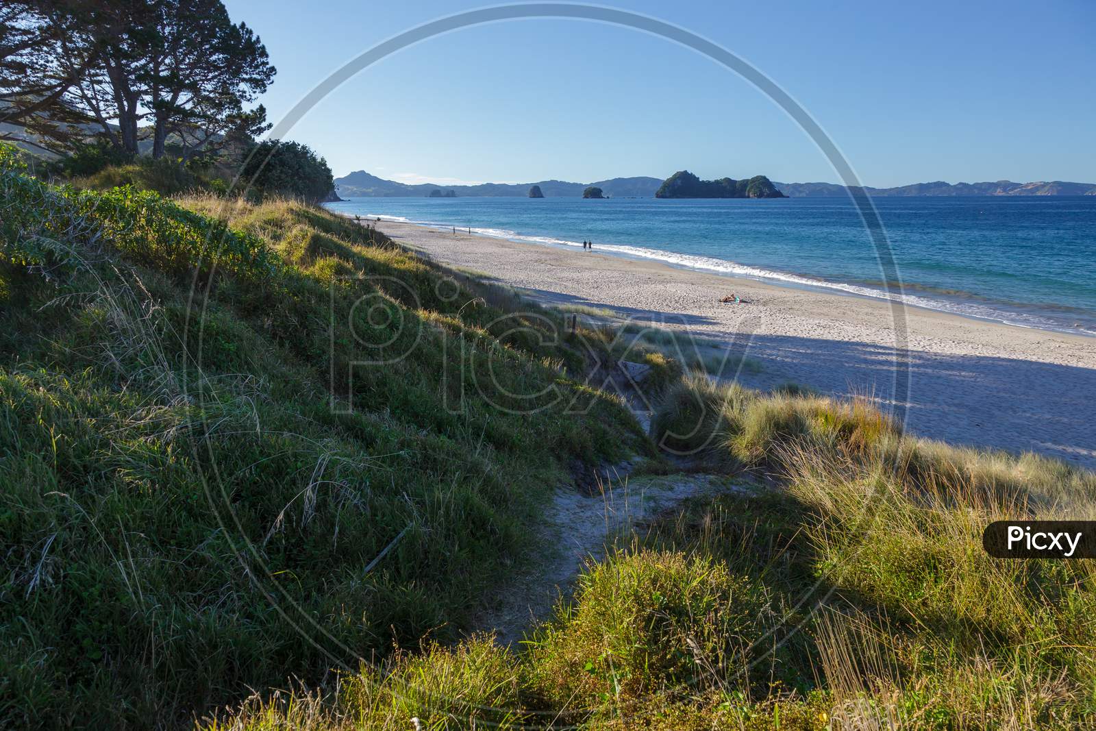Hahei, New Zealand - February 8 : A Summer Evening At Hahei Beach In New Zealand On February 8, 2012. Unidentified People