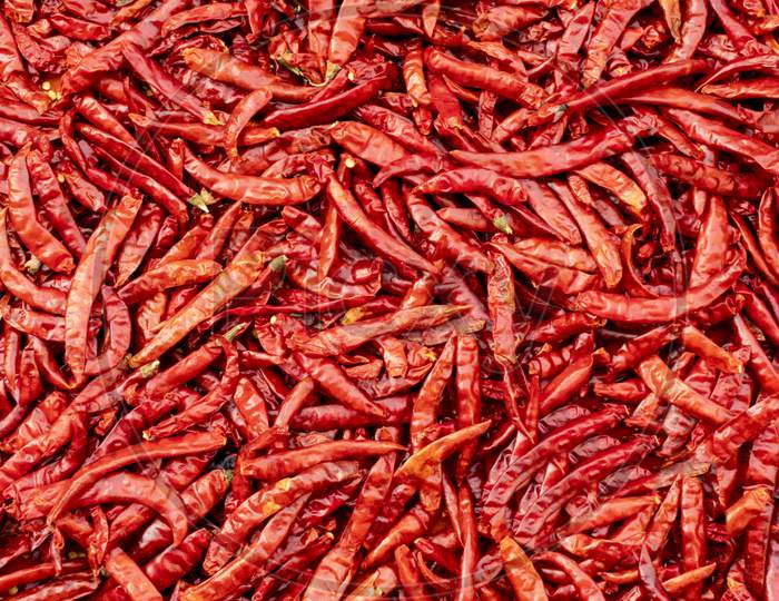 Dried Red Chilis Kept For Drying.