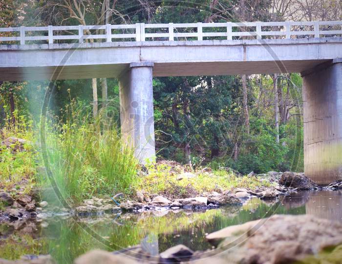 bridge, tree grass, water, natural landscape