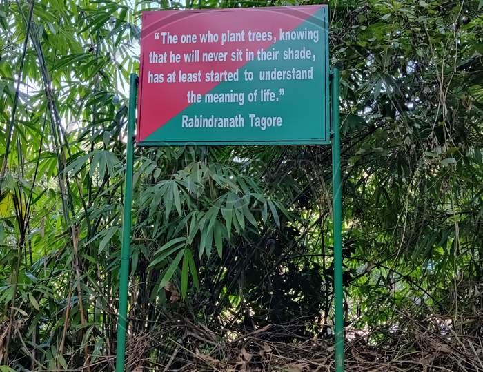 A Sign Board Fixed Inside The Forest