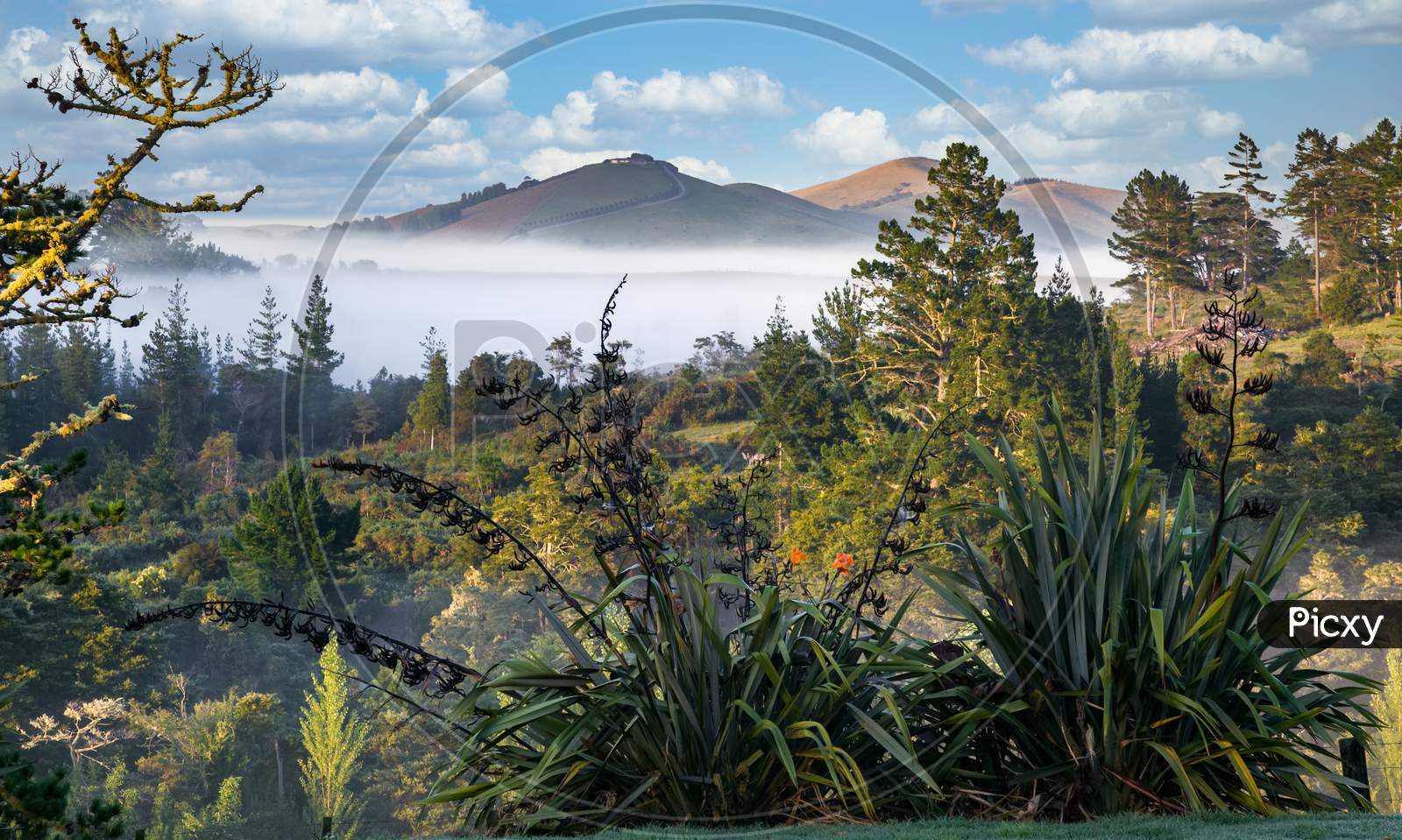 Scenic View Of The Lush And Verdant Matakohe Countryside