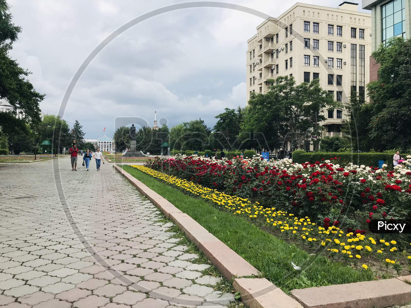 Bishkek city spring flowers