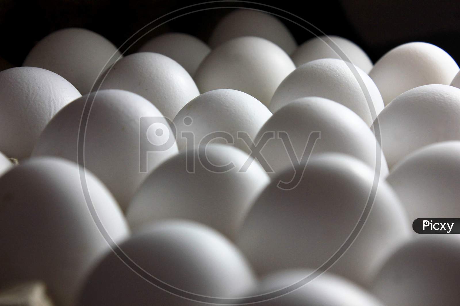Farm Fresh White Egg On The Stacked Stock Photo
