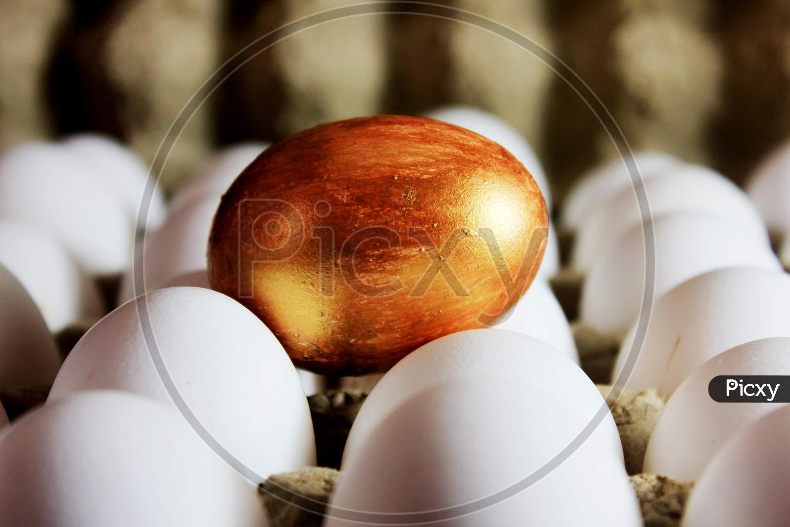Golden Egg  On Top Of White Eggs Stock Photo