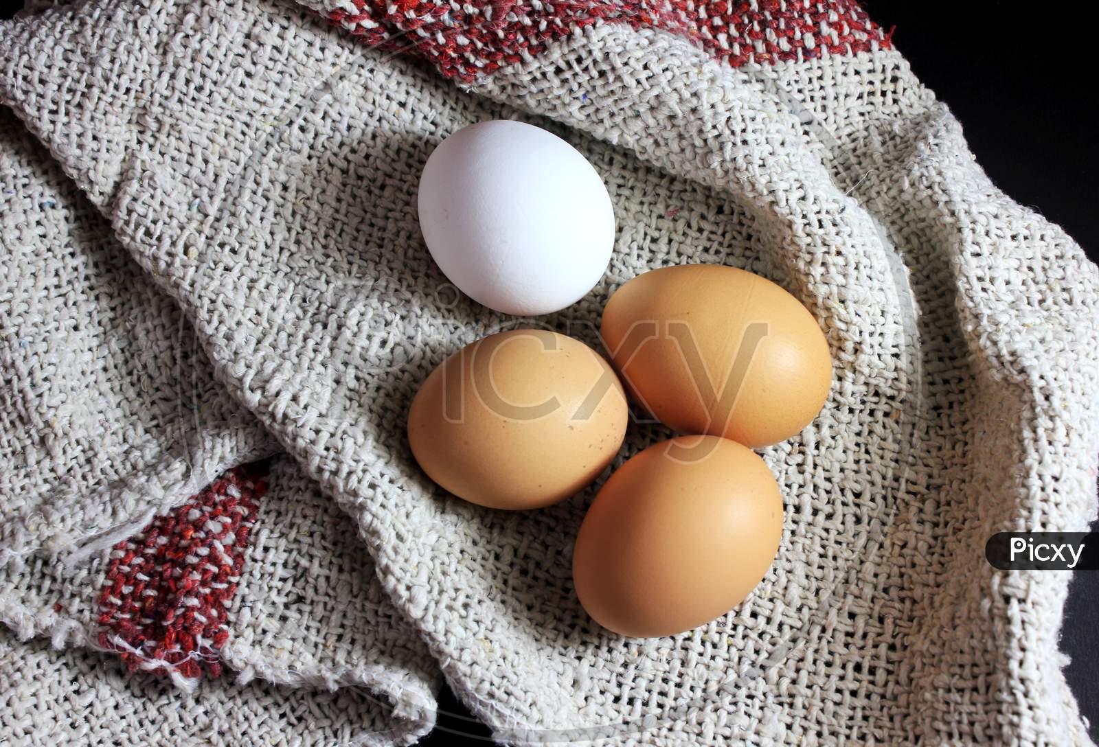 One White Egg And Three Brown Eggs