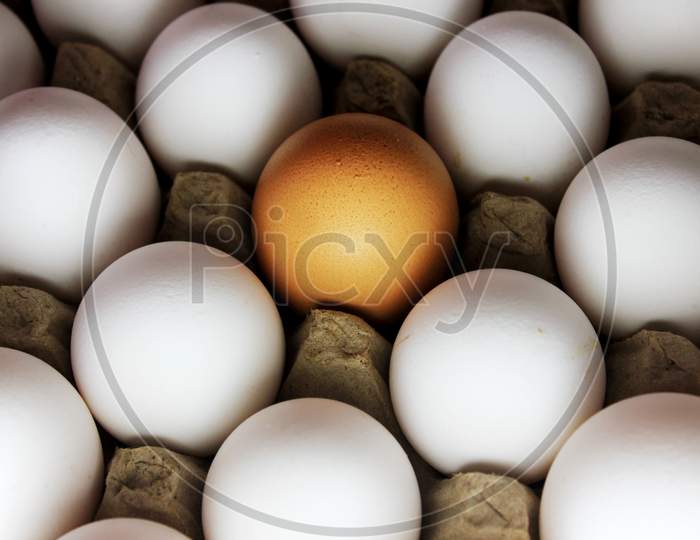 Brown Egg In The Center Of White Eggs