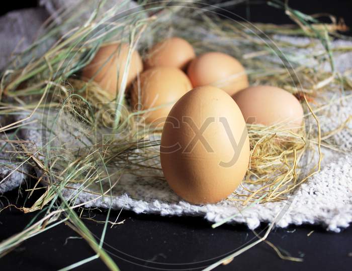 The Eggs Closeup Picture