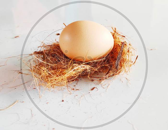 Egg In Nest Stock Photo