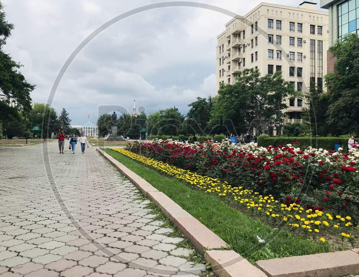 Bishkek city spring flowers