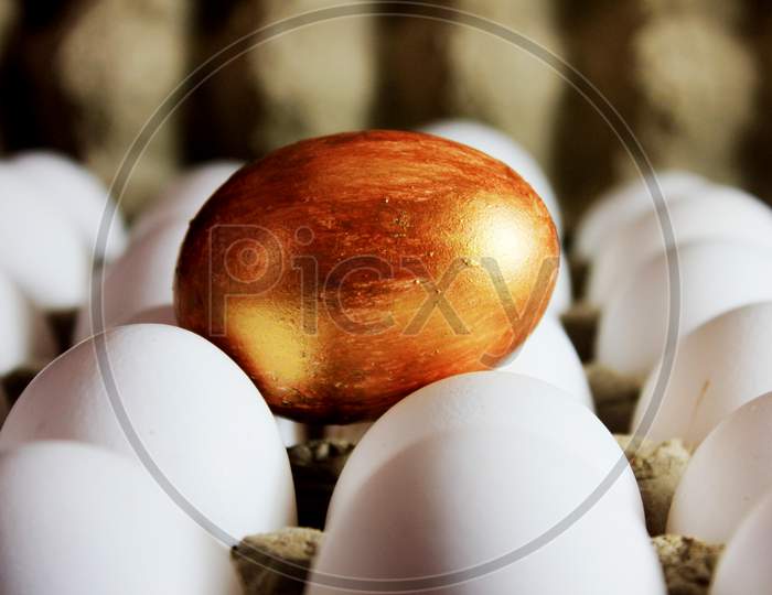 Golden Egg  On Top Of White Eggs Stock Photo