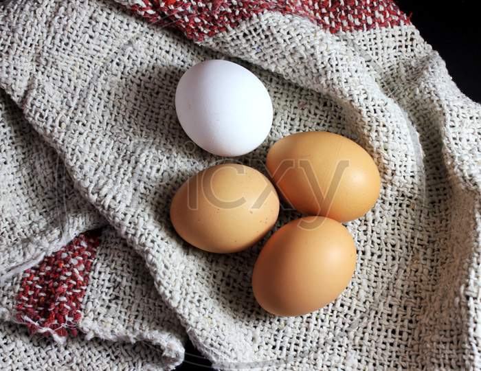 One White Egg And Three Brown Eggs
