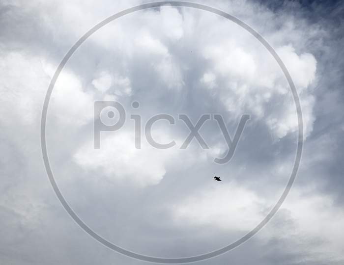 Flying Bird On The Blue Sky With Clouds