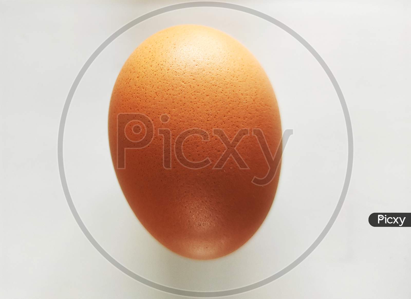 Closeup View Of An Egg