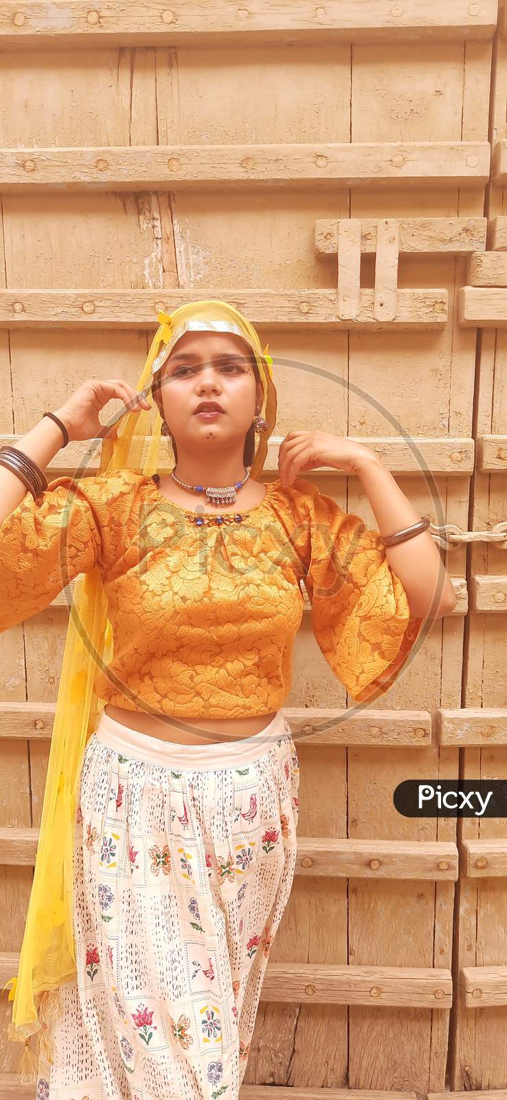 image-of-a-girl-in-traditional-rajasthani-attire-ou369970-picxy