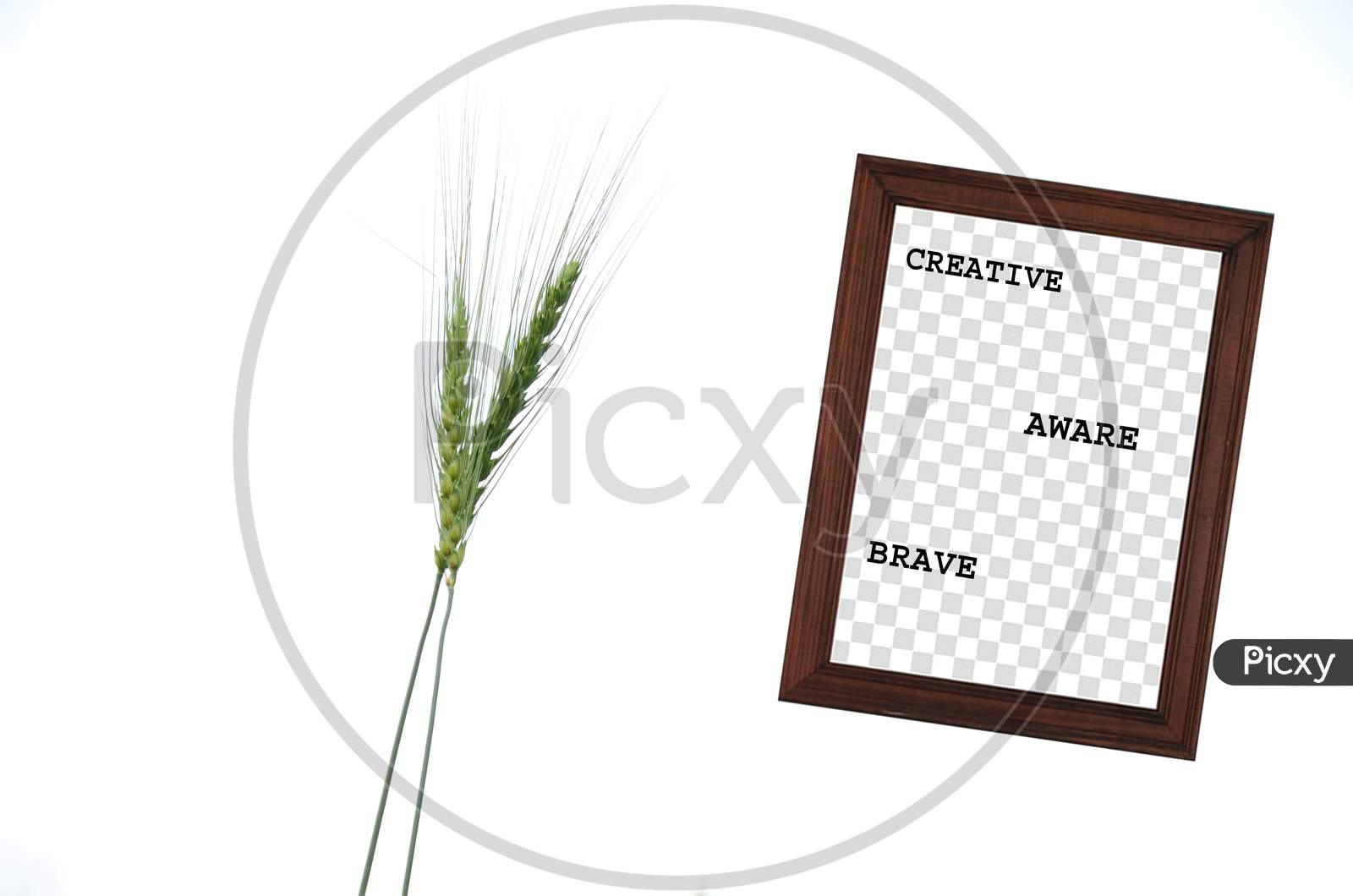Creative ,Aware,Brave,In The Wooden Frame Mental Health Awareness Concept With Green Wheat Stitch Plant On The White Background.