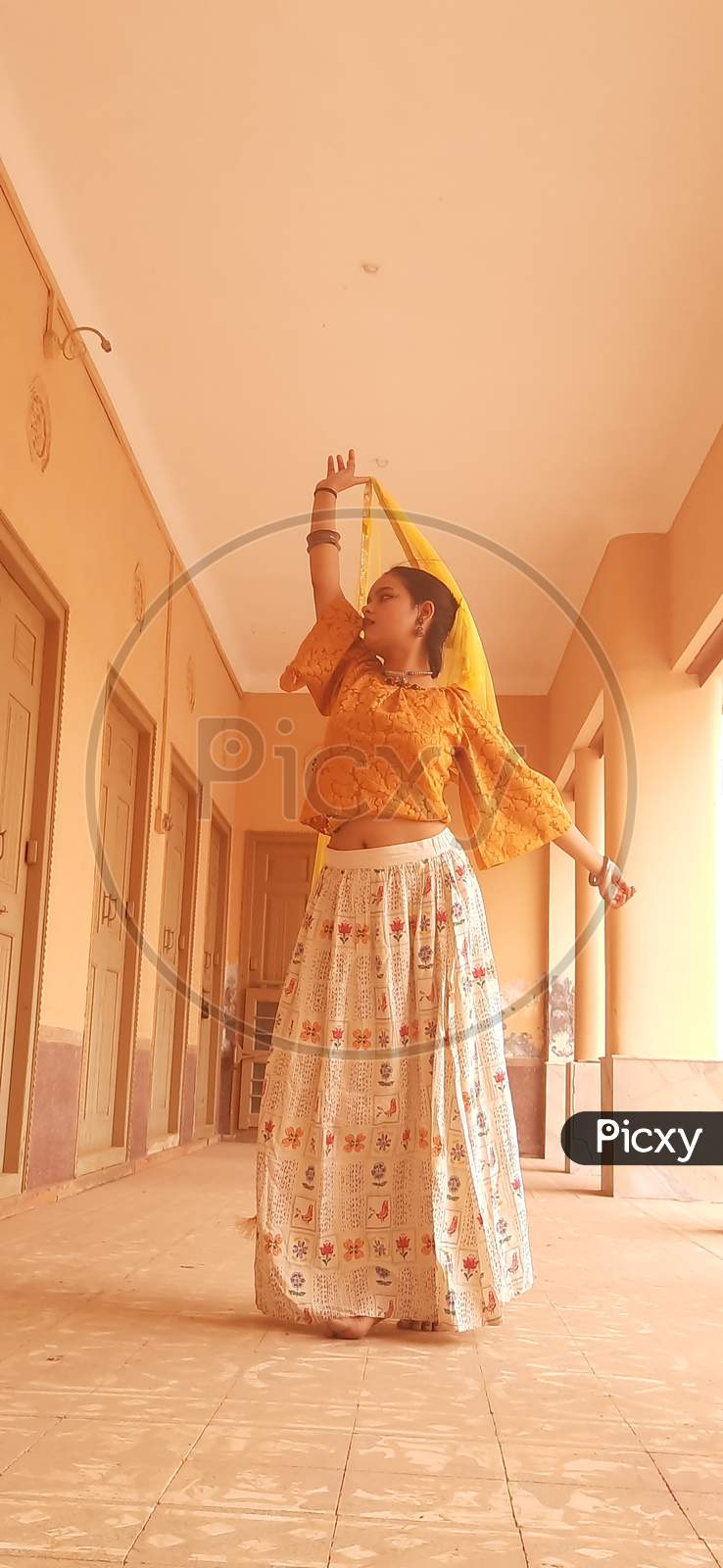 image-of-a-girl-in-traditional-rajasthani-attire-ct154110-picxy