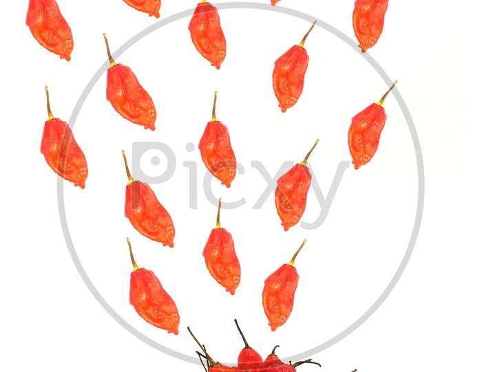 Bhut Jolokia ghost chili peppers (Capsicum frutescens x Capsicum chinense hybrid), isolated
