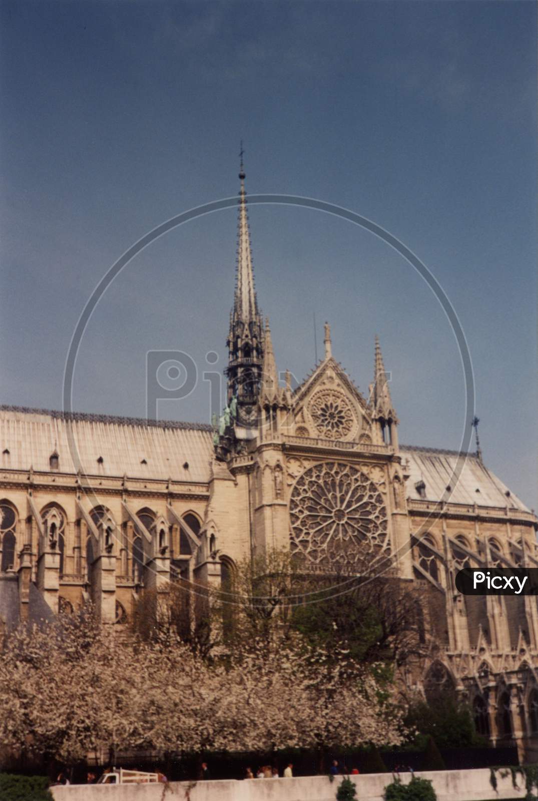 Notre Dame Cathedral In Paris