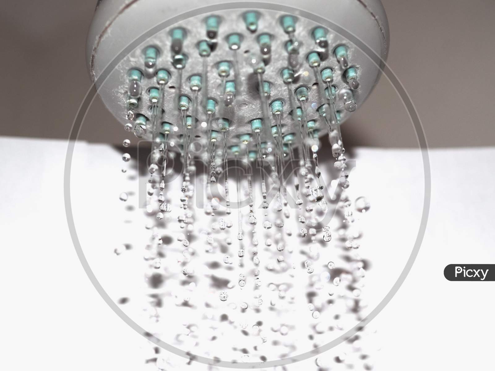 Drops Of Water From Shower Head