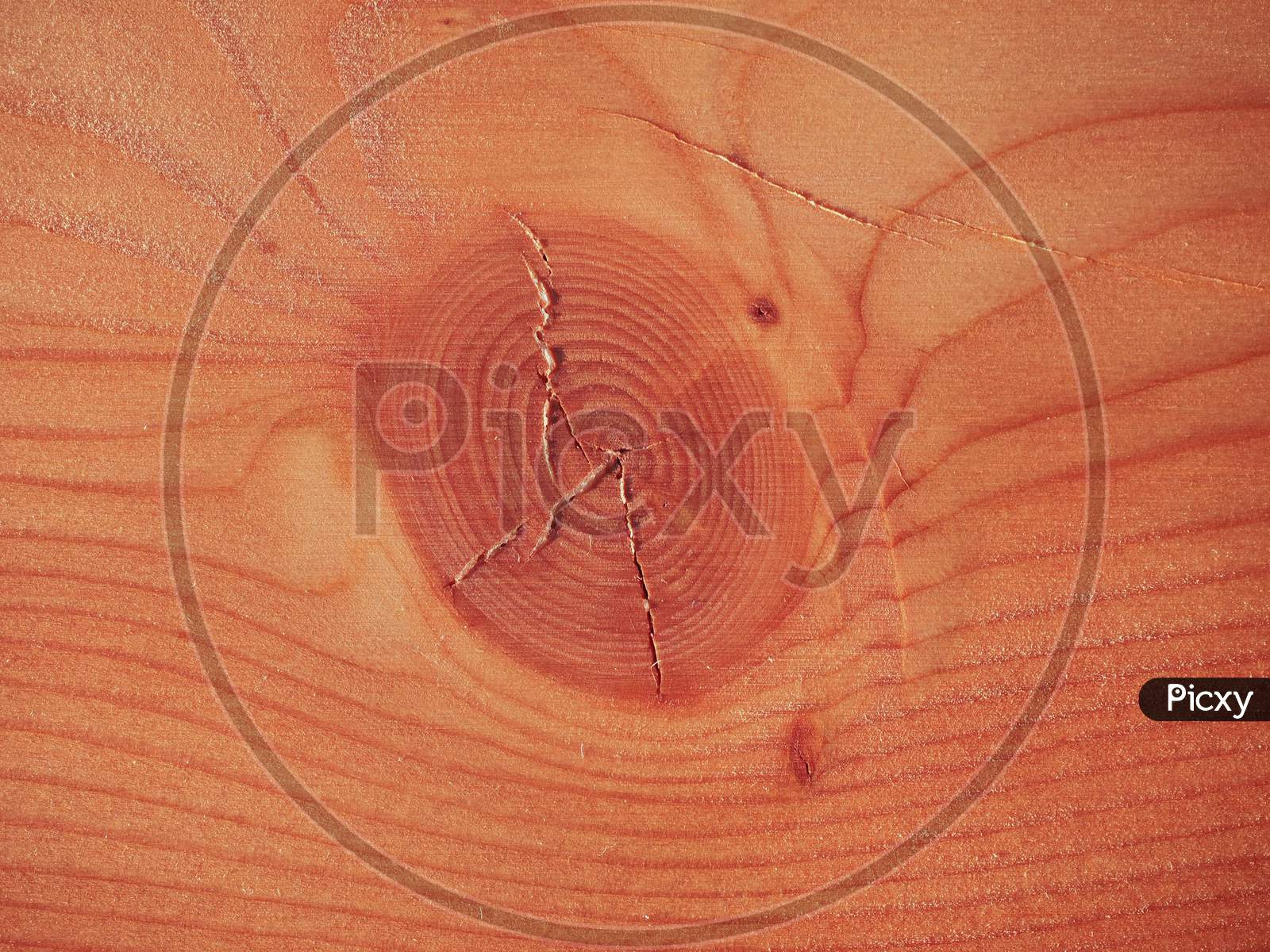 Image of Larch Wood BackgroundXN360593Picxy