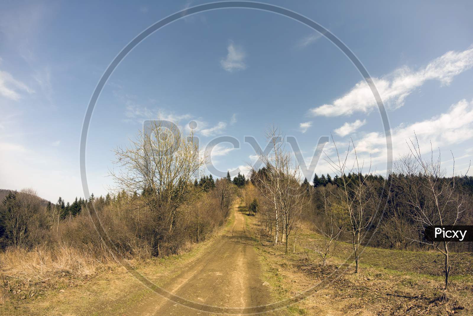 Limanowa, Poland: Wide Angle Shot Of Łysa Góra (Beskid Wyspowy) Landscape With Dirt Road Surrounded With Trees In Forest On Polish Mountains Against Blue Sky