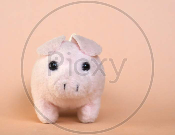 Pink Toy Pig