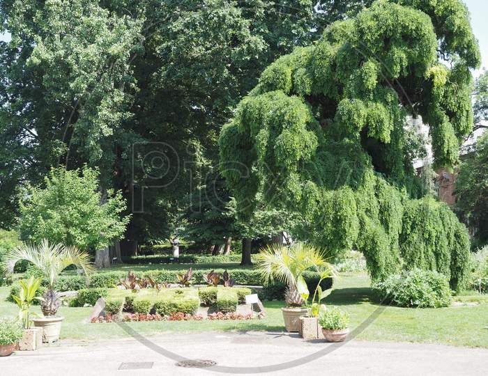 Botanical Gardens In Turin