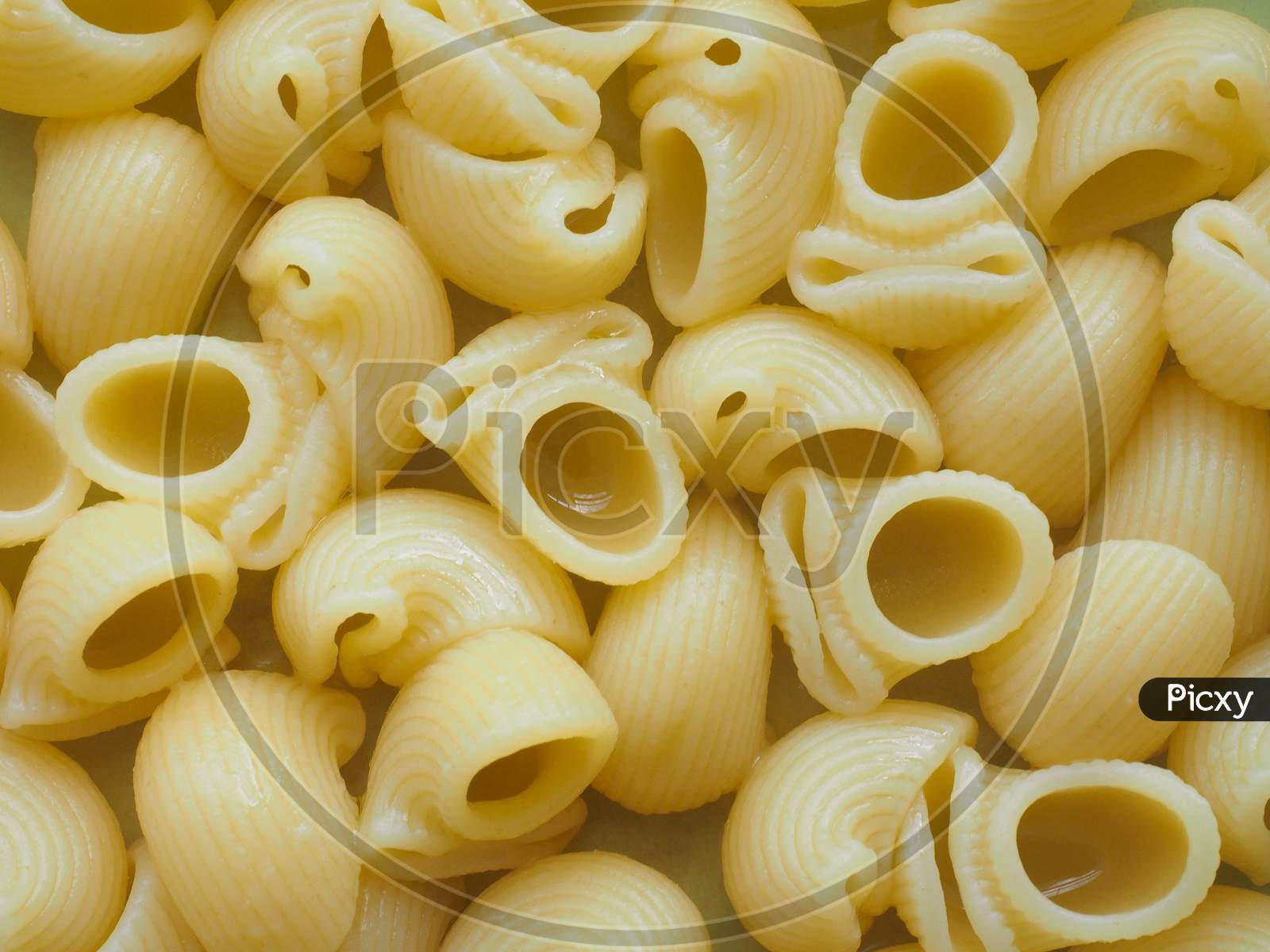 Image Of Lumache Pasta Food IP329299 Picxy Image Of Lumache Pasta Food IP329299 Picxy