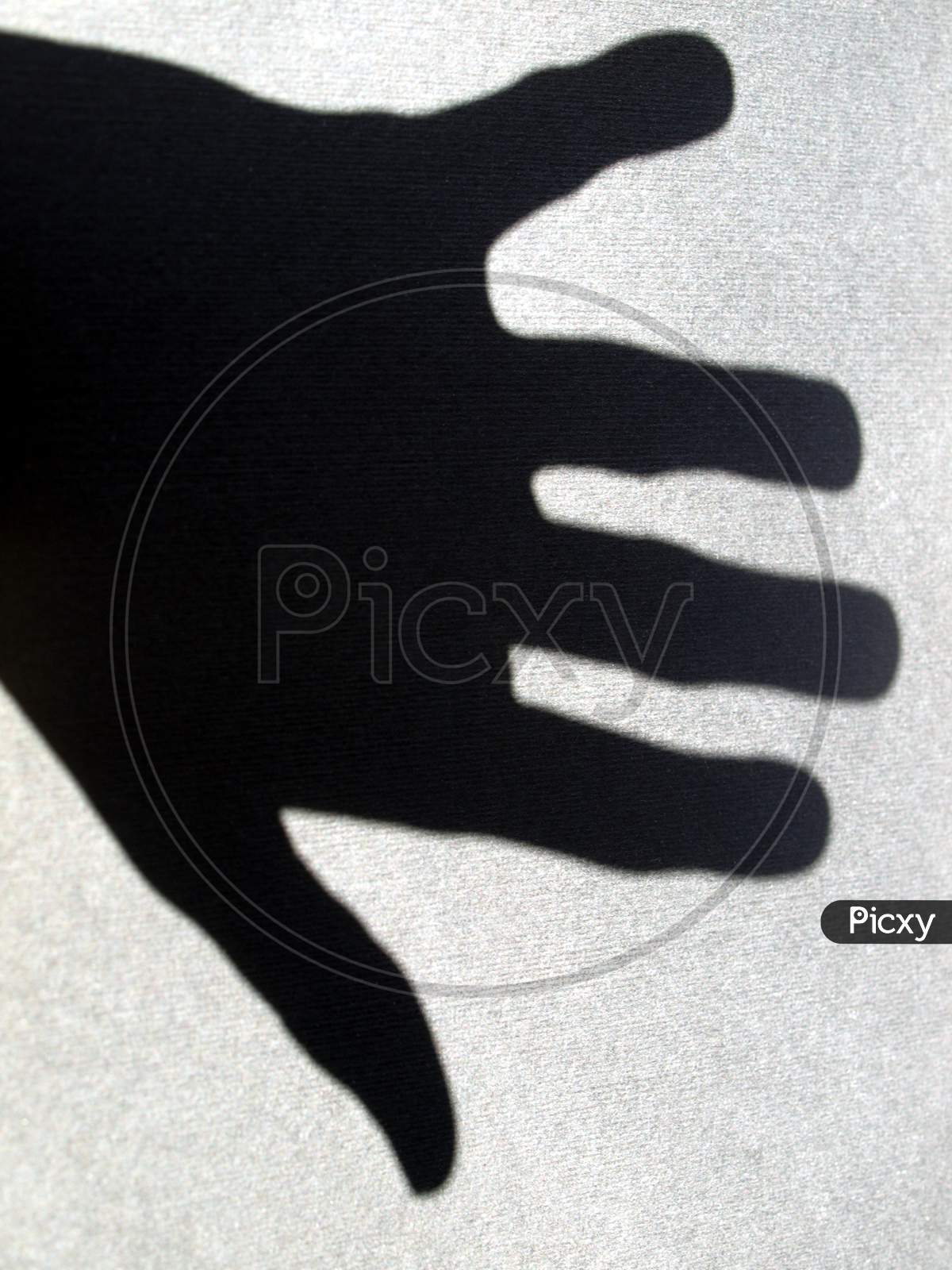 Hand Shadow On Wall