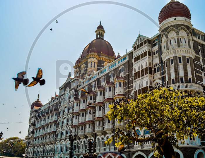 Mumbai taj hotel