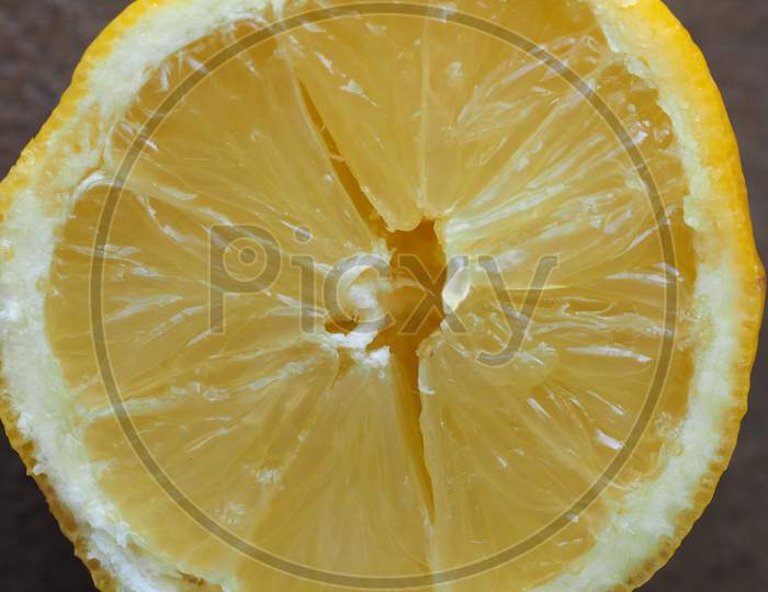 Lemon Fruit Slice