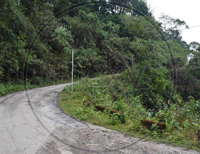 A Curved Asphalt Road In The Hilly Forest.