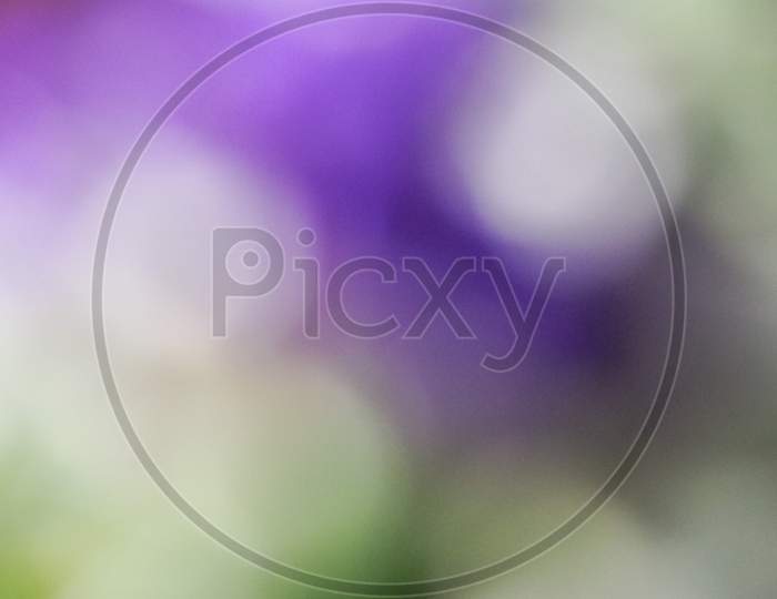 Abstract Purple Blur