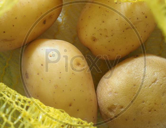 Potato Vegetables Food