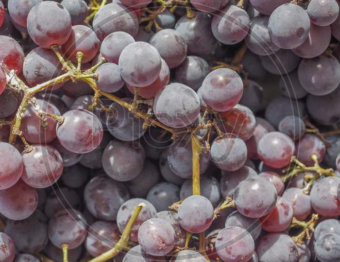 Red Grape Fruits