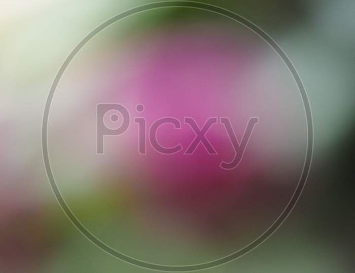 Abstract Green And Purple Blur Background