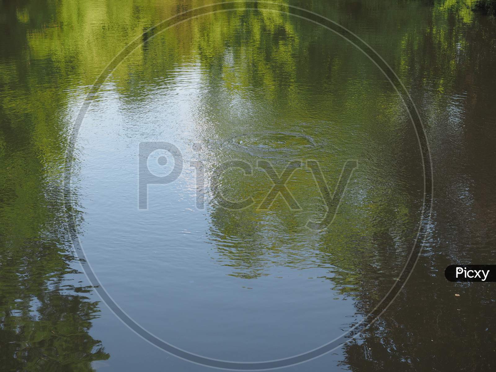 Water Pond Background