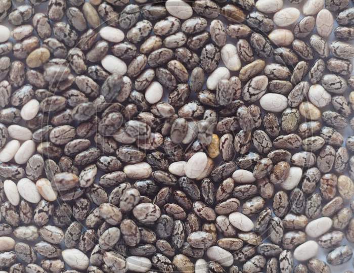 Edible Sesame Seeds Background