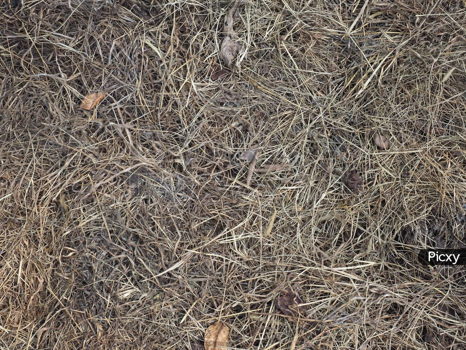Image of Hay Heap Background-JL719870-Picxy