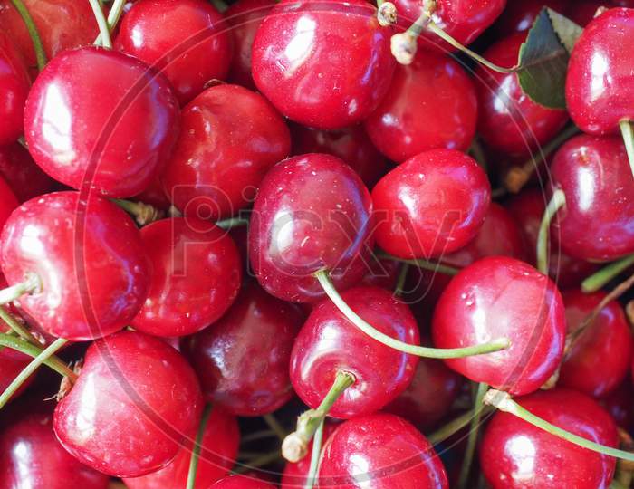 Cherry Fruit Detail