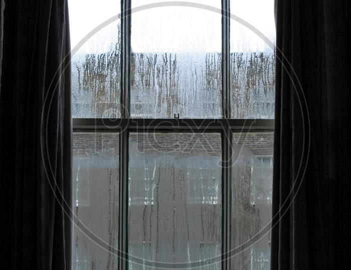 View From A Window