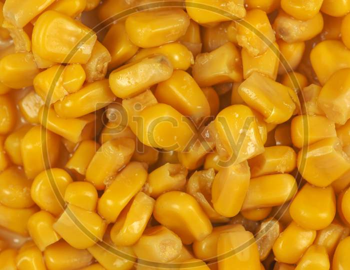 Maize Corn Food