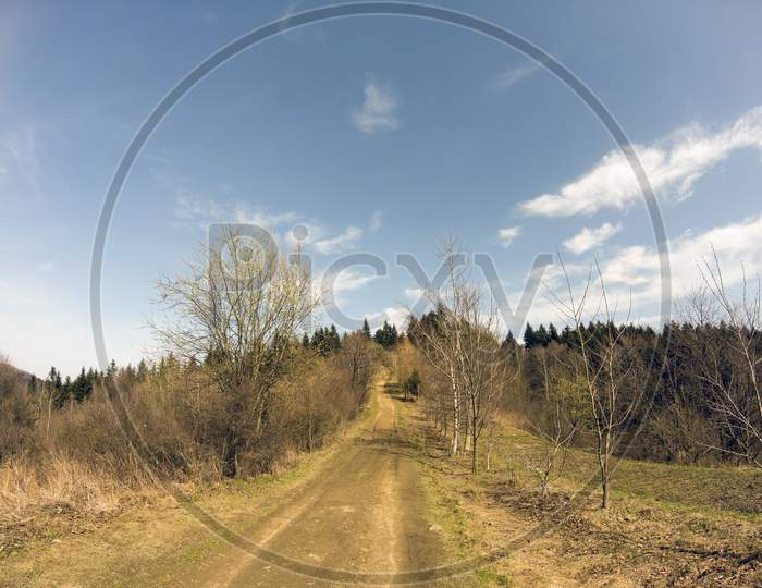 Limanowa, Poland: Wide Angle Shot Of Łysa Góra (Beskid Wyspowy) Landscape With Dirt Road Surrounded With Trees In Forest On Polish Mountains Against Blue Sky