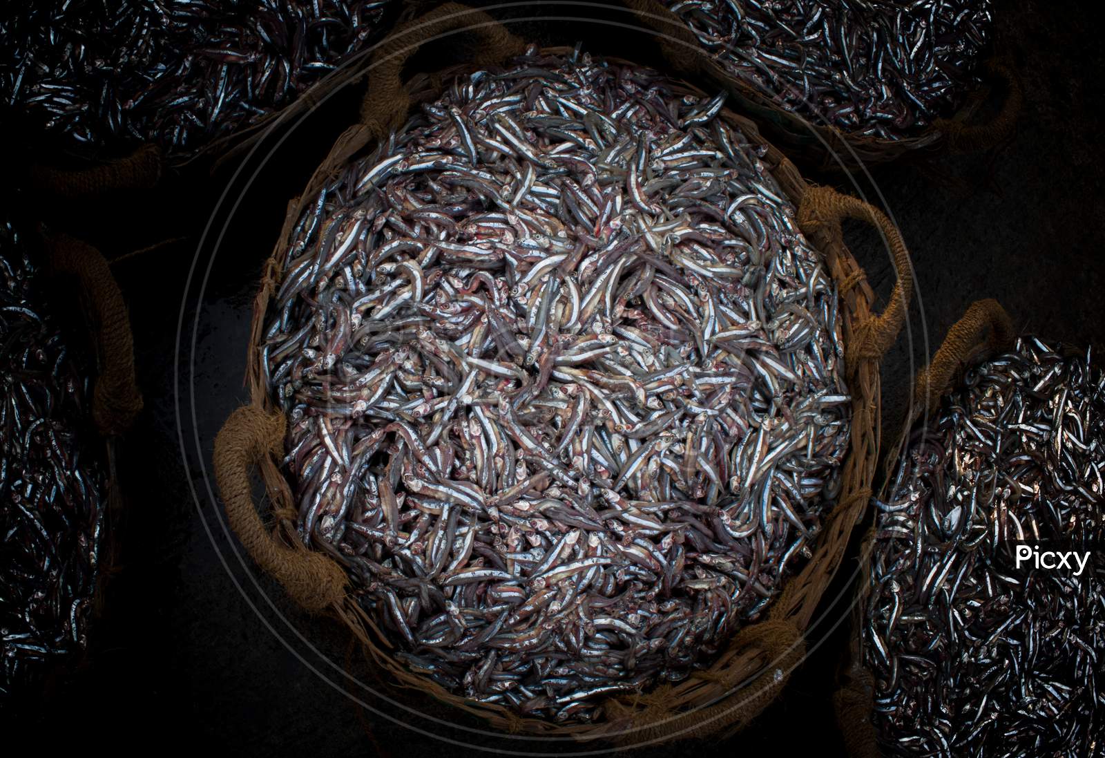 Collection Of Anchoviella Lepidentostole Fish In The Basket For Sale.