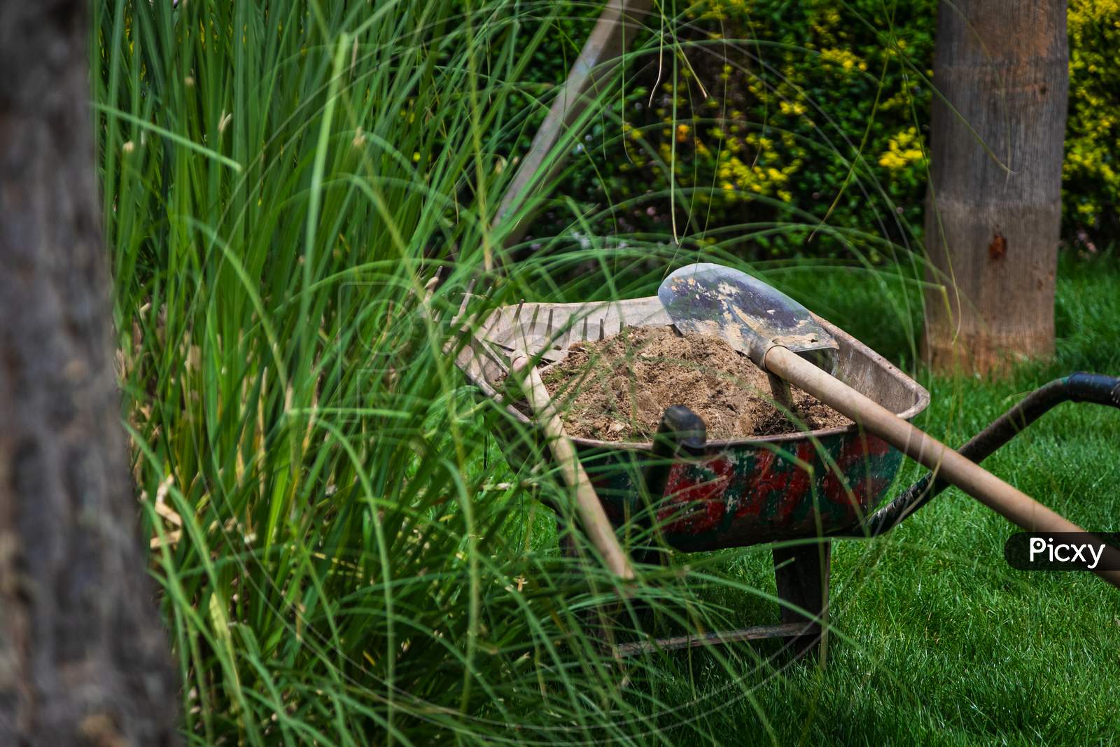 A Shovel, Rake And Sand Lie In A Wheelbarrow In A Blooming Green Garden And Garden In The Backyard. Summer Work Tool