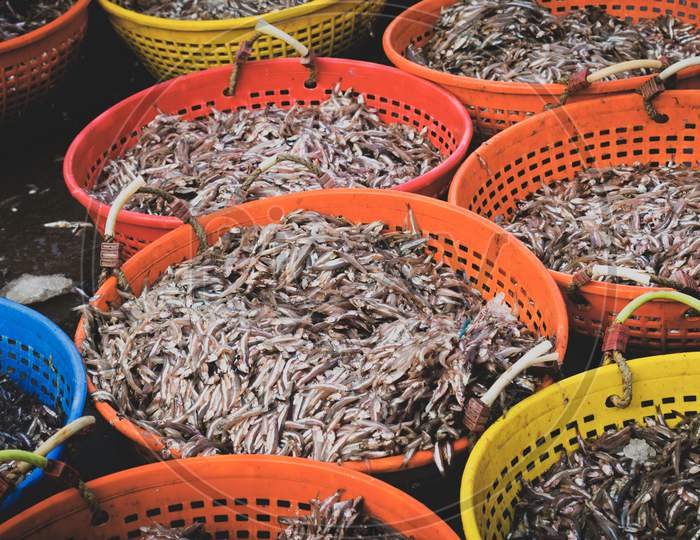 Collection Of Anchoviella Lepidentostole Fish In Various Fish Containers For Sale In The Market.