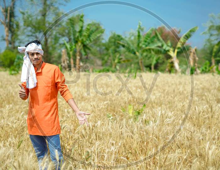 Indian farmer at golden wheat field