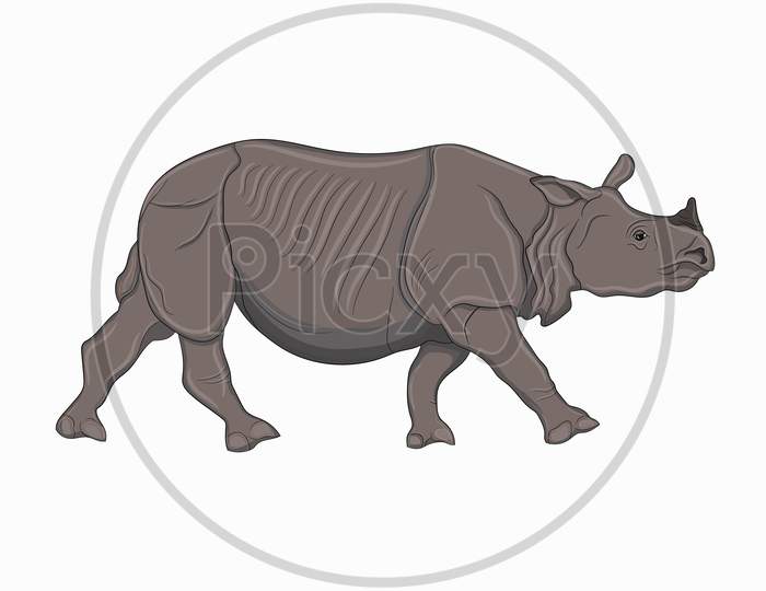 Detailed Illustration Of An Adult Rhinoceros, One-Horned Indian Rhinoceros
